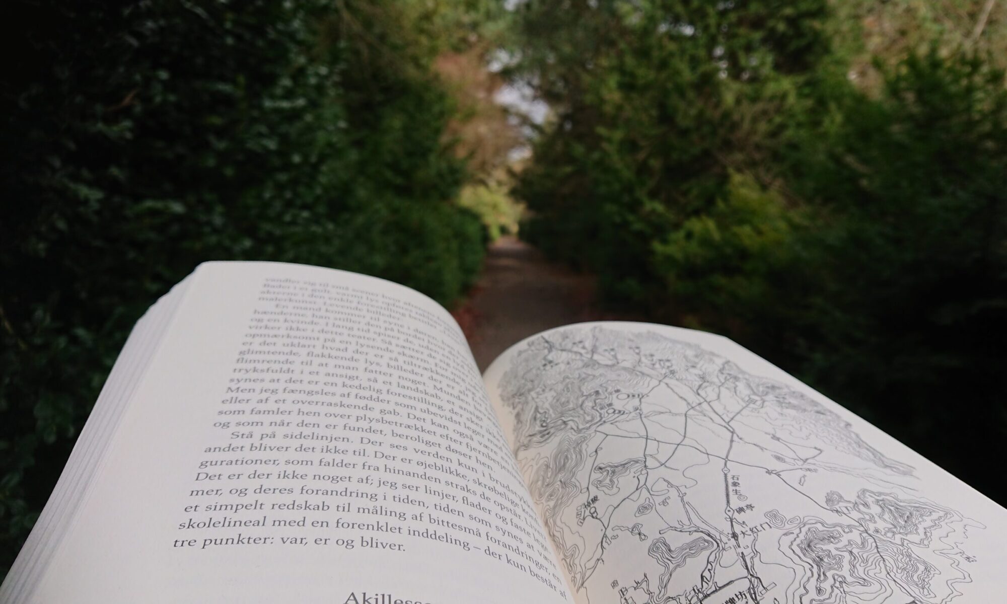 Litterære vandringer